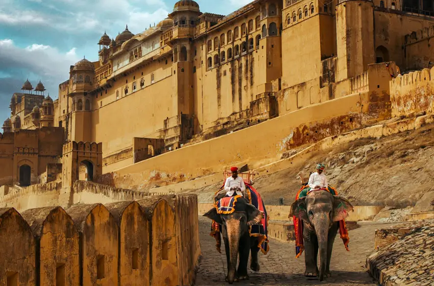 Jaipur Elephant Sanctuary & Village Walk