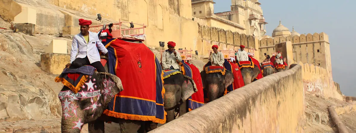 Jaipur Elephant Sanctuary & Village Walk