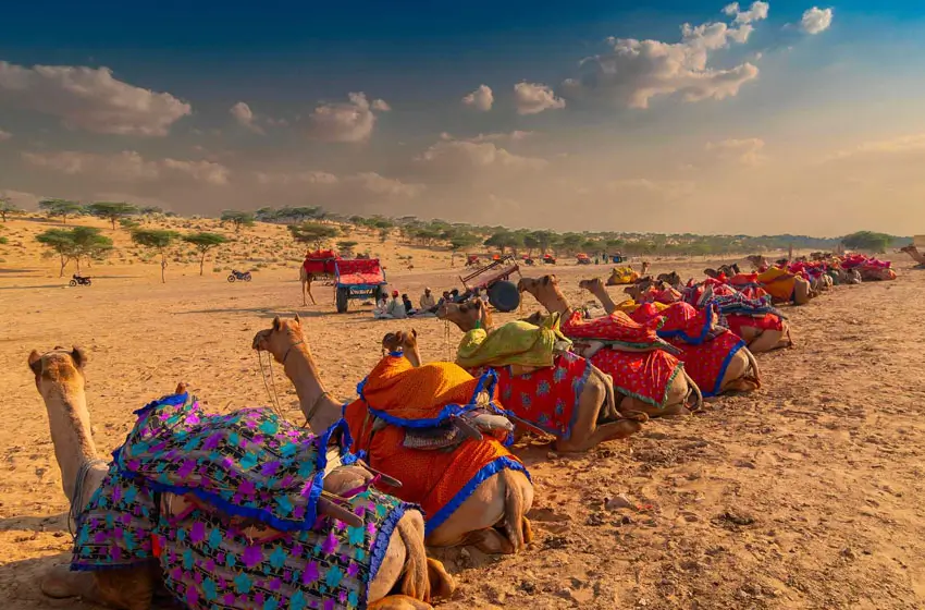 From Taj Mahal to Thar