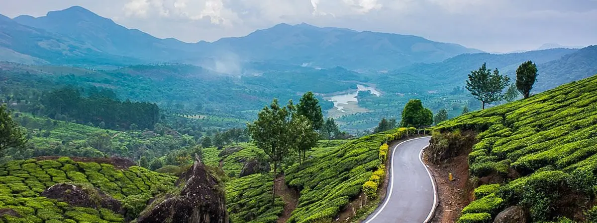 Kerala Backwaters Tour 6 Days | Alleppey Houseboat, Kochi, Munnar & Thekkady