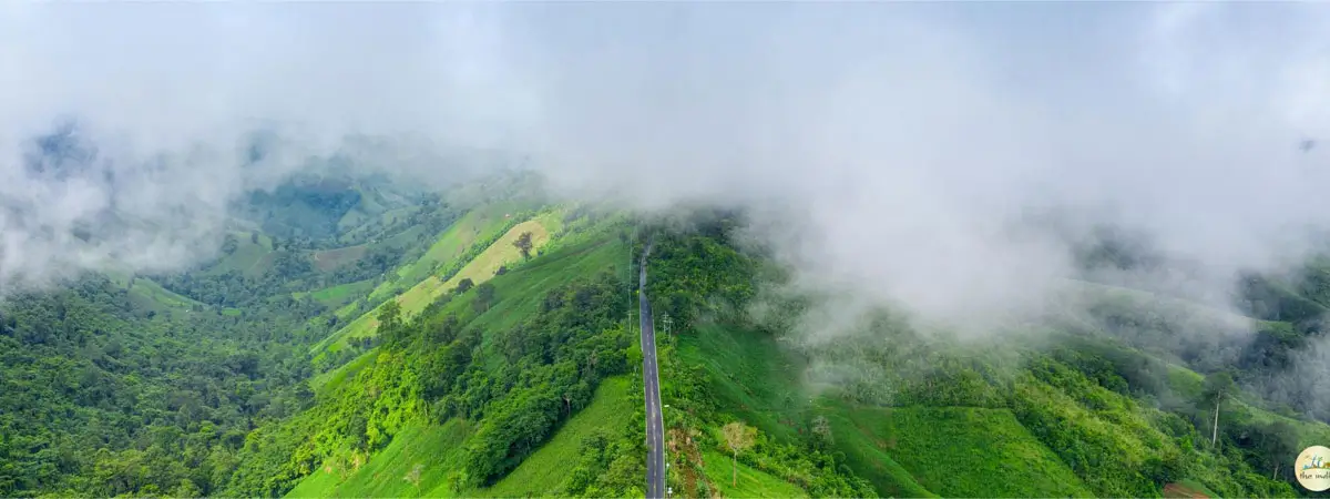 South India Cultural Tour 9 Days | Kochi, Munnar, Thekkady & Kerala Highlights